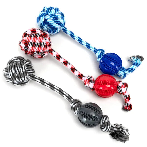 Juguete con cuerda-Bloque de color-L37cm
